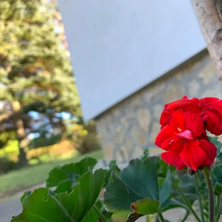 Bolla Nyaralohaz Villa Hegyhátszentjakab Exterior photo